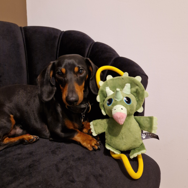 PawStory - Buddies Timmie Triceratops - Afbeelding 2