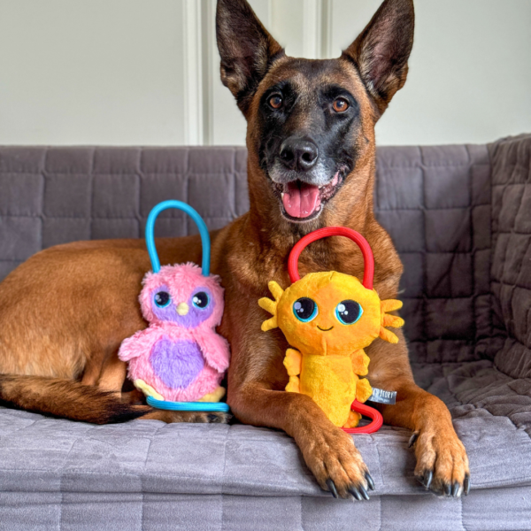 PawStory - Buddies Manon Pinguin - Afbeelding 5