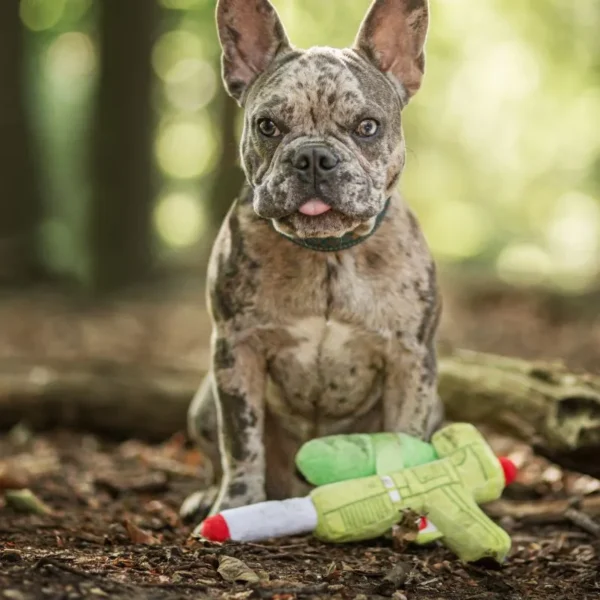 PawStory - Pup Soaker - Afbeelding 3