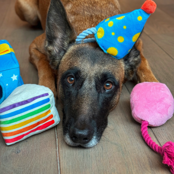 PawStory - Snuffles Festive Party Box - Afbeelding 5