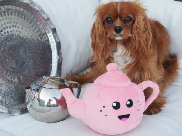 PawStory Missy Tea - Afbeelding 3