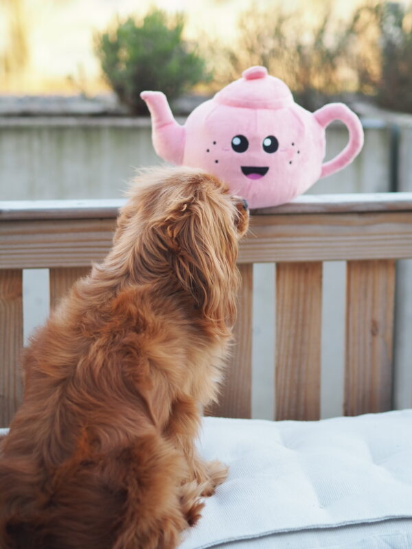 PawStory Missy Tea - Afbeelding 2